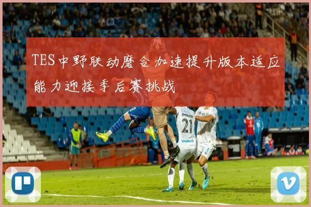 TES中野联动磨合加速提升版本适应能力迎接季后赛挑战