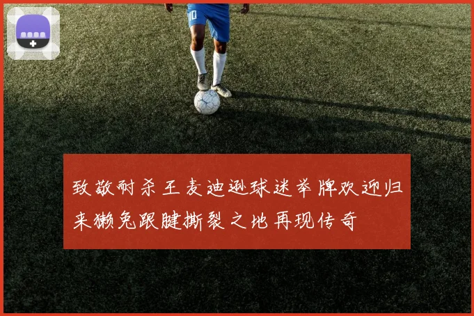 致敬耐杀王麦迪逊球迷举牌欢迎归来獭兔跟腱撕裂之地再现传奇