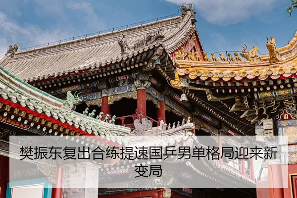 樊振东复出合练提速国乒男单格局迎来新变局